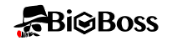 BigBossのロゴ